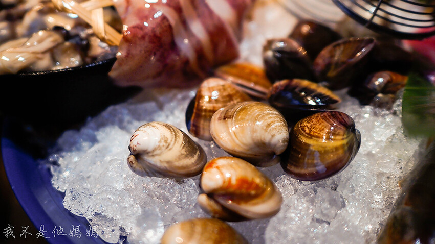 南陽街美食,南陽街吃到飽,南洋街平價火鍋,南洋街火鍋吃到飽,南洋街麻辣鍋吃到飽,南洋街平價美食,南洋街聚餐,肉多多學生優惠,肉多多肉盤