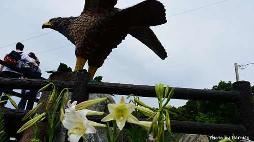 0505 1-蘆竹小旅行06.jpg