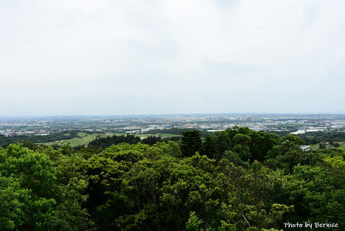 0505 2-大古山百合04.jpg