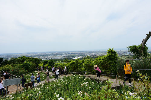 0505 1-蘆竹小旅行05.jpg