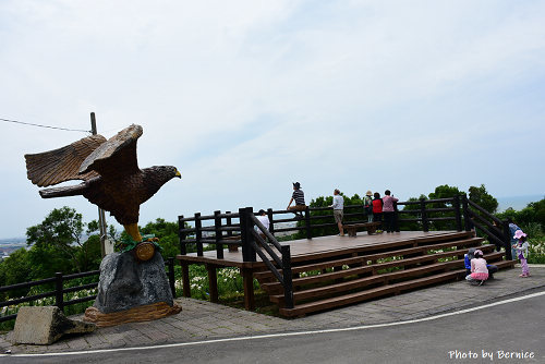 0505 2-大古山百合06.jpg