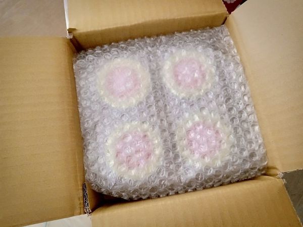 58549653_1155180174690775_6930272513435893760_n