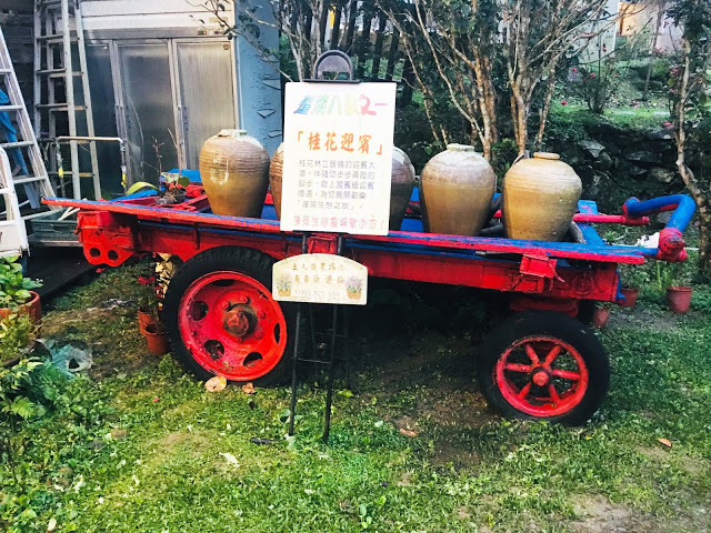 [苗栗住宿] 蓬萊生態農場仙山民宿｜南庄世外桃源，山林間的獨棟小木屋，身處雲霧繚繞中的油桐花與螢火蟲仿若仙境！