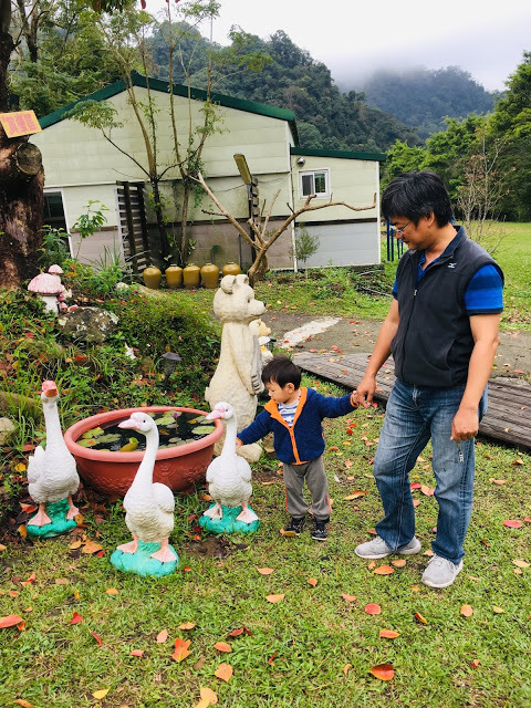 [苗栗住宿] 蓬萊生態農場仙山民宿｜南庄世外桃源，山林間的獨棟小木屋，身處雲霧繚繞中的油桐花與螢火蟲仿若仙境！