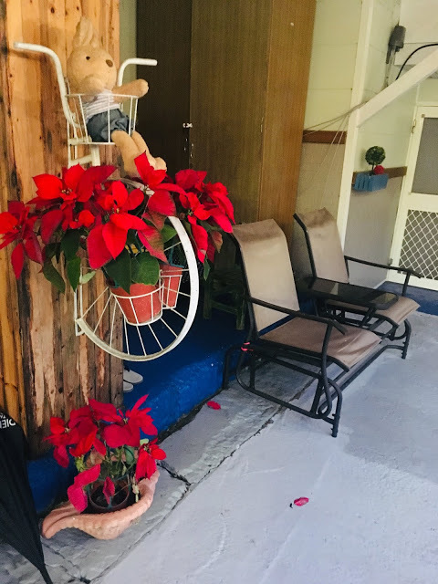 [苗栗住宿] 蓬萊生態農場仙山民宿｜南庄世外桃源，山林間的獨棟小木屋，身處雲霧繚繞中的油桐花與螢火蟲仿若仙境！