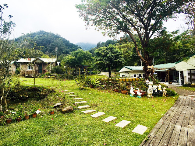 [苗栗住宿] 蓬萊生態農場仙山民宿｜南庄世外桃源，山林間的獨棟小木屋，身處雲霧繚繞中的油桐花與螢火蟲仿若仙境！