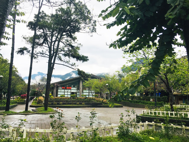 [苗栗住宿] 蓬萊生態農場仙山民宿｜南庄世外桃源，山林間的獨棟小木屋，身處雲霧繚繞中的油桐花與螢火蟲仿若仙境！