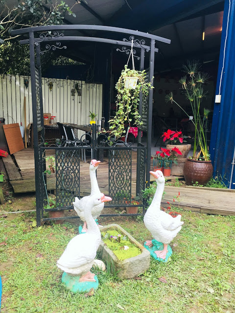 [苗栗住宿] 蓬萊生態農場仙山民宿｜南庄世外桃源，山林間的獨棟小木屋，身處雲霧繚繞中的油桐花與螢火蟲仿若仙境！