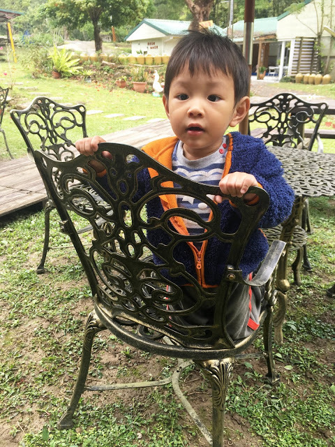 [苗栗住宿] 蓬萊生態農場仙山民宿｜南庄世外桃源，山林間的獨棟小木屋，身處雲霧繚繞中的油桐花與螢火蟲仿若仙境！