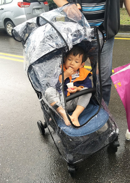 [苗栗住宿] 蓬萊生態農場仙山民宿｜南庄世外桃源，山林間的獨棟小木屋，身處雲霧繚繞中的油桐花與螢火蟲仿若仙境！