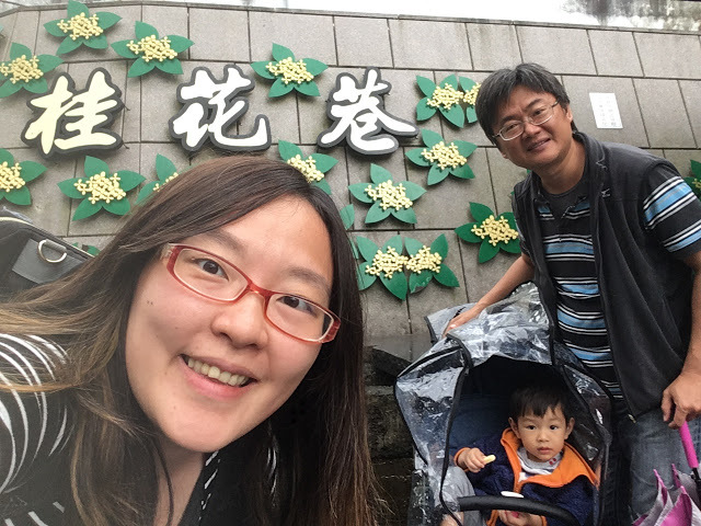 [苗栗住宿] 蓬萊生態農場仙山民宿｜南庄世外桃源，山林間的獨棟小木屋，身處雲霧繚繞中的油桐花與螢火蟲仿若仙境！