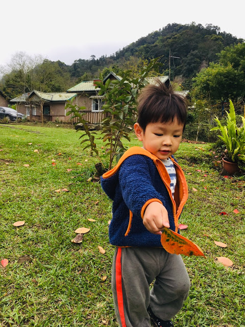 [苗栗住宿] 蓬萊生態農場仙山民宿｜南庄世外桃源，山林間的獨棟小木屋，身處雲霧繚繞中的油桐花與螢火蟲仿若仙境！