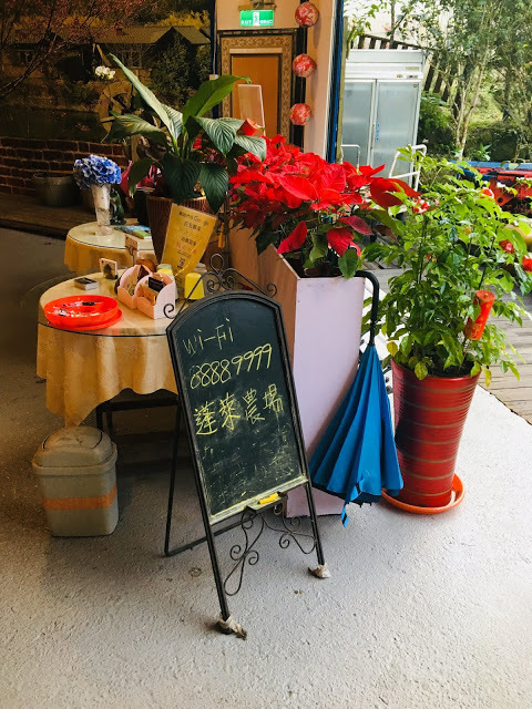 [苗栗住宿] 蓬萊生態農場仙山民宿｜南庄世外桃源，山林間的獨棟小木屋，身處雲霧繚繞中的油桐花與螢火蟲仿若仙境！