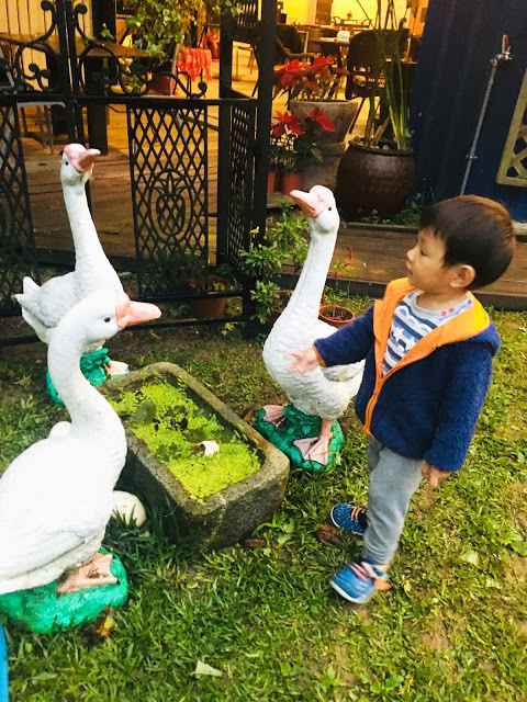 [苗栗住宿] 蓬萊生態農場仙山民宿｜南庄世外桃源，山林間的獨棟小木屋，身處雲霧繚繞中的油桐花與螢火蟲仿若仙境！