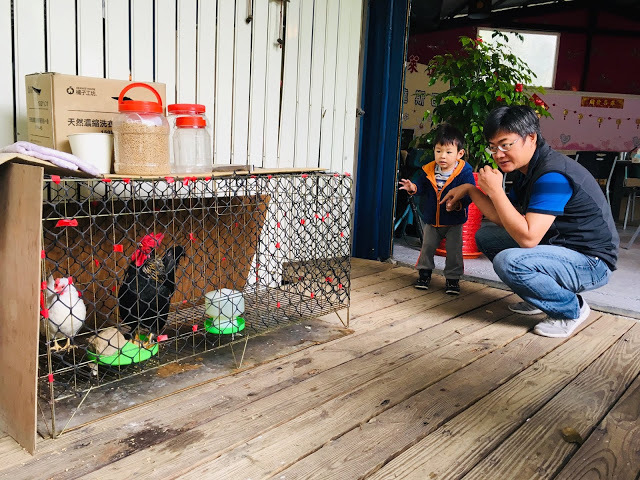 [苗栗住宿] 蓬萊生態農場仙山民宿｜南庄世外桃源，山林間的獨棟小木屋，身處雲霧繚繞中的油桐花與螢火蟲仿若仙境！