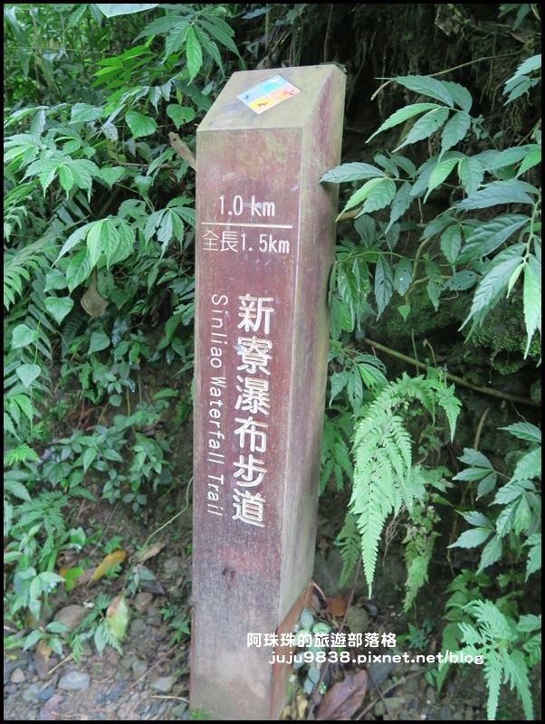 新寮瀑布36.JPG
