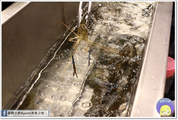 IMG_6801.JPG IMG_6801.JPG