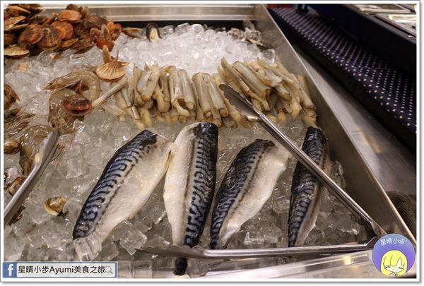 IMG_6759.JPG IMG_6759.JPG