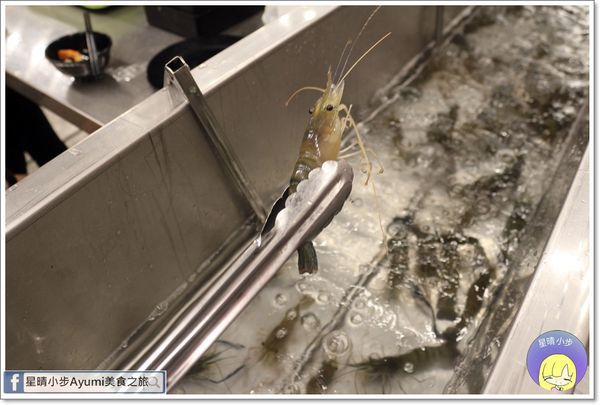 IMG_6778.JPG IMG_6778.JPG