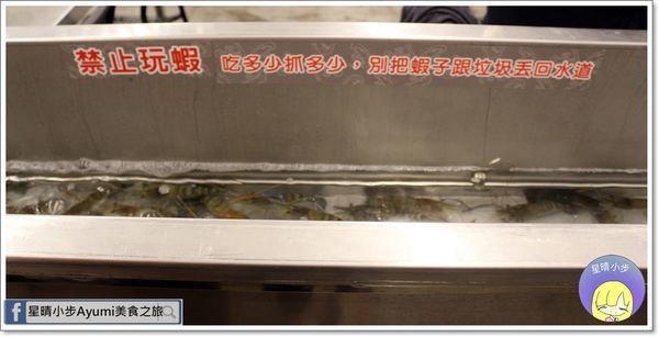 IMG_6736.JPG IMG_6736.JPG