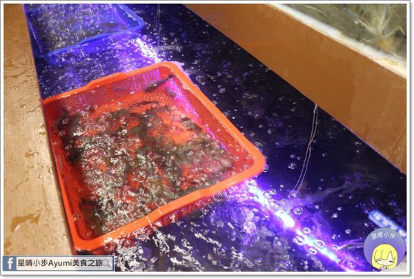 IMG_6748.JPG IMG_6748.JPG