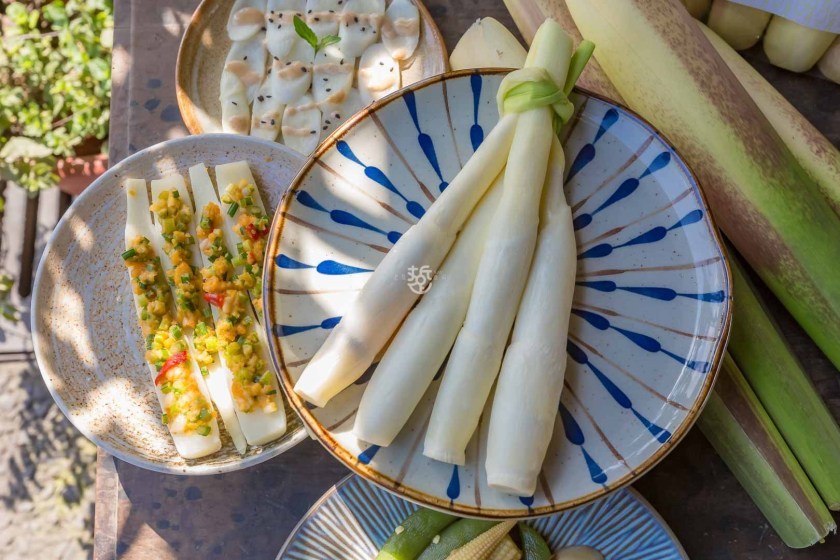 [南投埔里]日耕農產用無毒農法栽培筊白筍，魚筊共生的美人腿生吃等級的脆甜口感很可以,產地現採宅配到府 - 老莫 Say透透