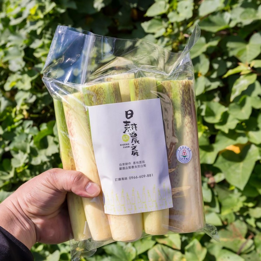 [南投埔里]日耕農產用無毒農法栽培筊白筍，魚筊共生的美人腿生吃等級的脆甜口感很可以,產地現採宅配到府 - 老莫 Say透透