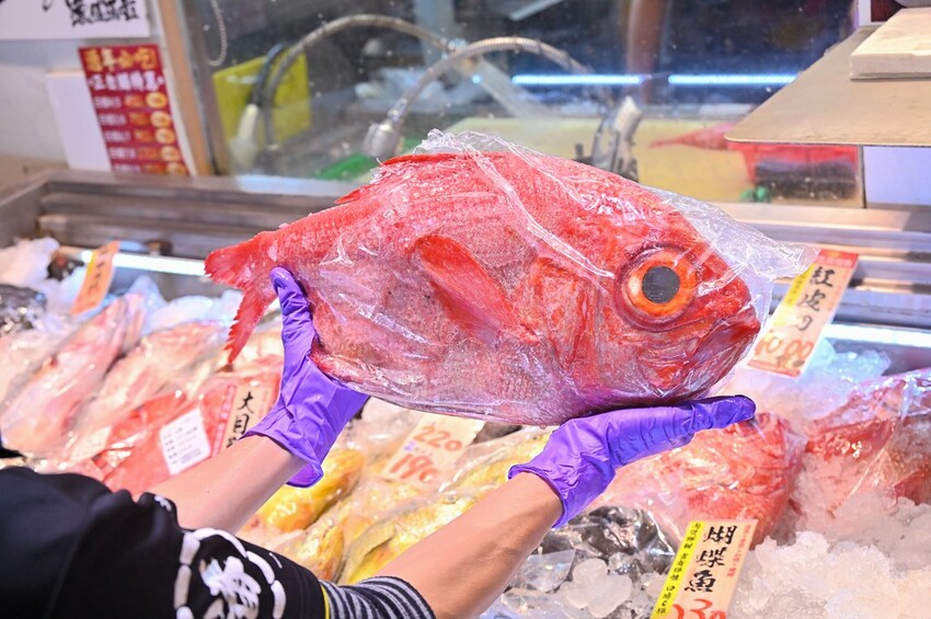 台中市北屯區台中最夯海鮮批發超市 假日海鮮市集巨無霸烤龍蝦必吃/阿布潘水產