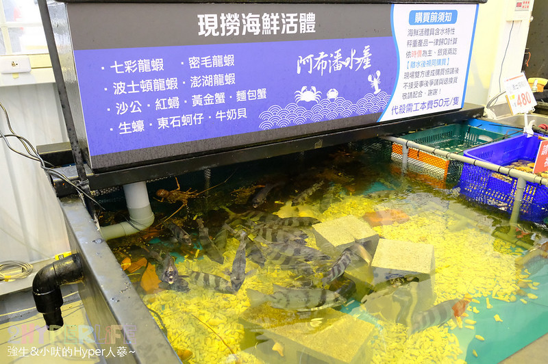 台中北屯,台中新鮮水產,台中新鮮漁貨,台中水產,台中水產市場,台中漁獲,台中漁貨,台中魚貨市場,大坑,新鮮海產購買,新鮮魚貨哪裡買,海鮮宅配,海鮮市場,海鮮市場 專業水產,海鮮直播,火鍋,稀有海產,鍋物,阿布潘水產,高檔海鮮,魚貨市場,龍蝦螃蟹 @強生與小吠的Hyper人蔘~