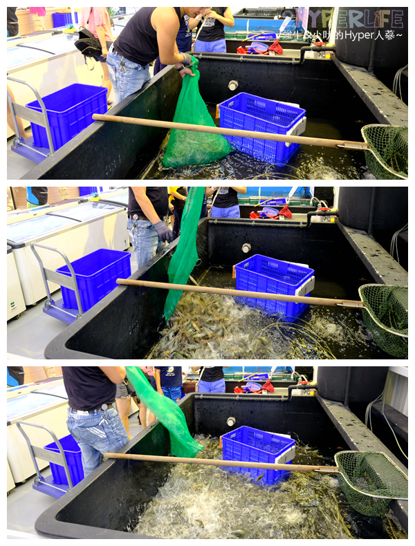 台中北屯,台中新鮮水產,台中新鮮漁貨,台中水產,台中水產市場,台中漁獲,台中漁貨,台中魚貨市場,大坑,新鮮海產購買,新鮮魚貨哪裡買,海鮮宅配,海鮮市場,海鮮市場 專業水產,海鮮直播,火鍋,稀有海產,鍋物,阿布潘水產,高檔海鮮,魚貨市場,龍蝦螃蟹 @強生與小吠的Hyper人蔘~