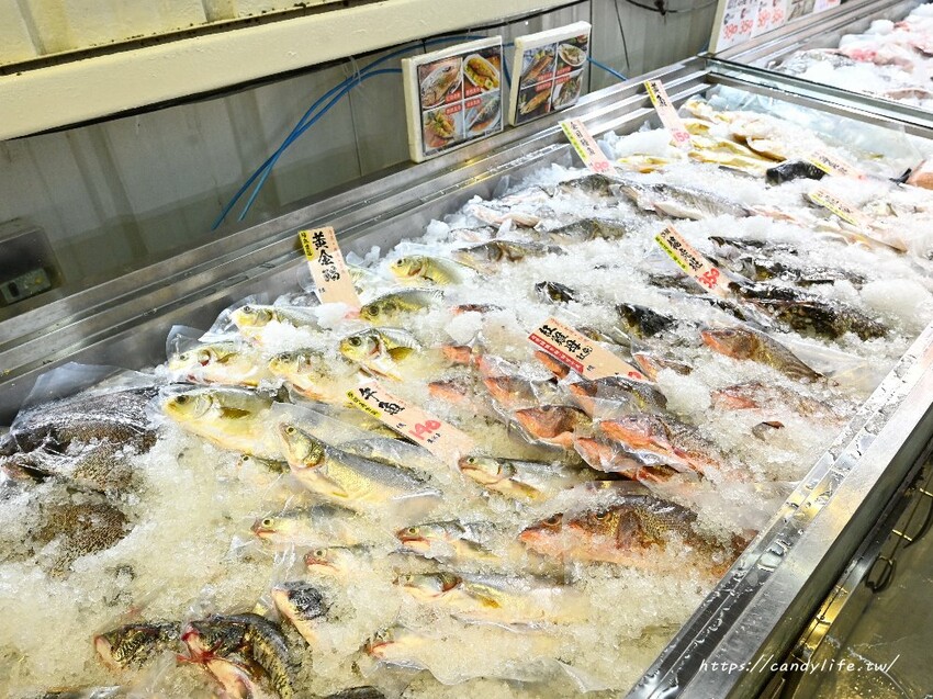 台中市北屯區阿布潘水產|黑鮪魚料理驚艷登場!不只海鮮市場厲害,還有假日限定超狂海鮮市集
