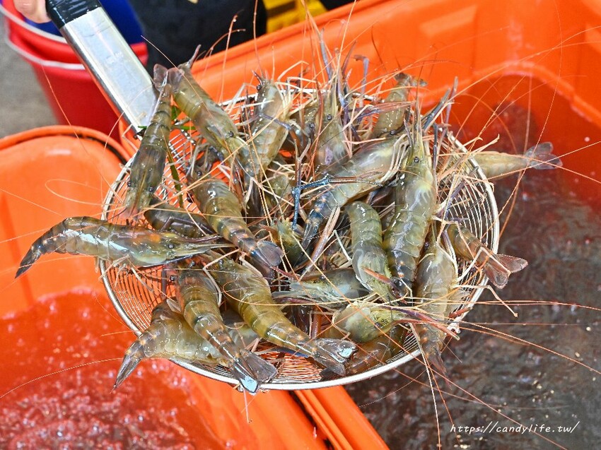 台中市北屯區阿布潘水產|黑鮪魚料理驚艷登場!不只海鮮市場厲害,還有假日限定超狂海鮮市集