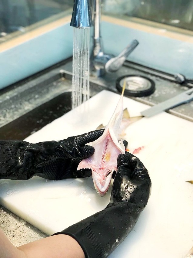 更換照片檔(已修好)_190815_0004