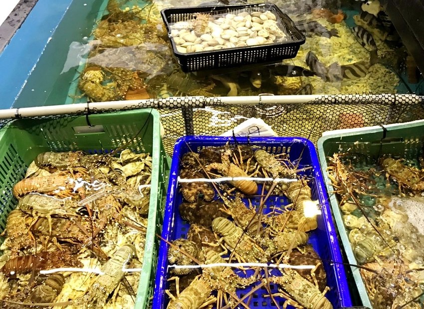 更換照片檔(已修好)_190815_0001