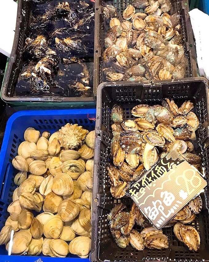 更換照片檔(已修好)_190815_0006