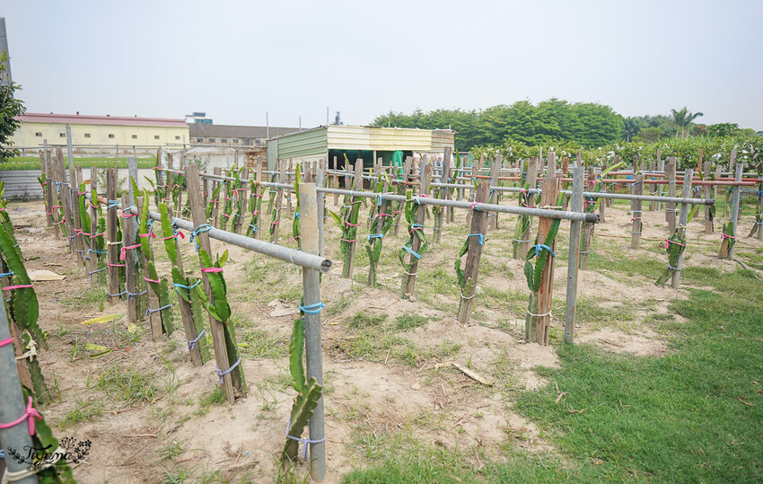 台南親子飯店｜南科贊美酒店：親子焢窯趣一泊二食住宿專案，焢窯採果釣魚~快來安排台南2天1夜遊吧！！ @緹雅瑪 美食旅遊趣
