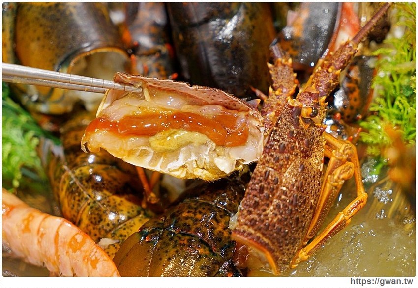 拾鑶火鍋來大里囉!平日午餐188起,飲料無限暢飲、明治冰淇淋吃免驚!!