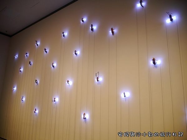 美術館二館21.JPG