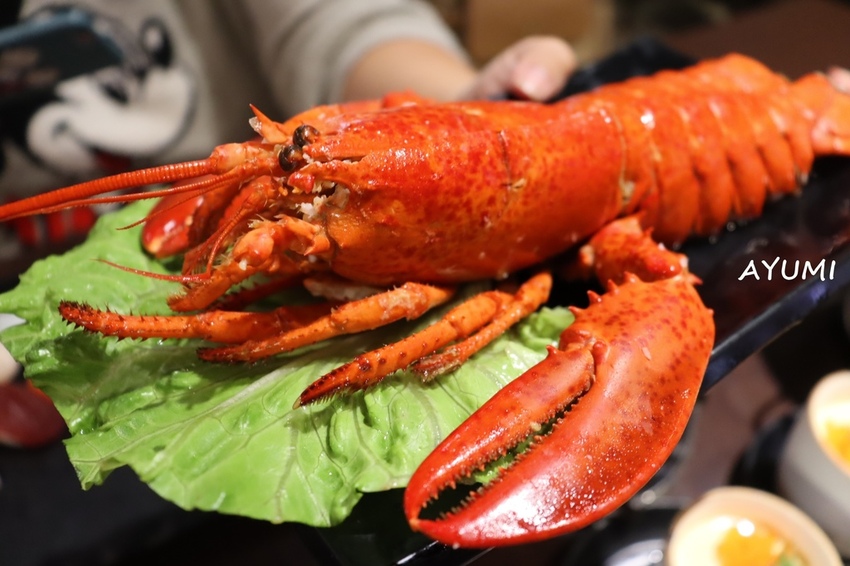 IMG_5292.JPG IMG_5292.JPG