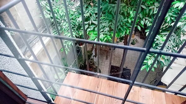 59418063_2392016864163322_5163316559770288128_n