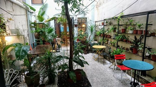 29432944_1819825051382509_4830925119427706880_n