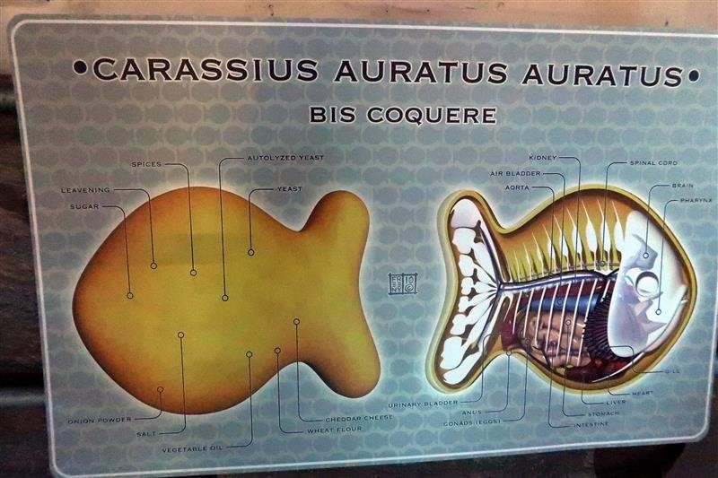 玩具解剖展 059.jpg 玩具解剖展 059.jpg