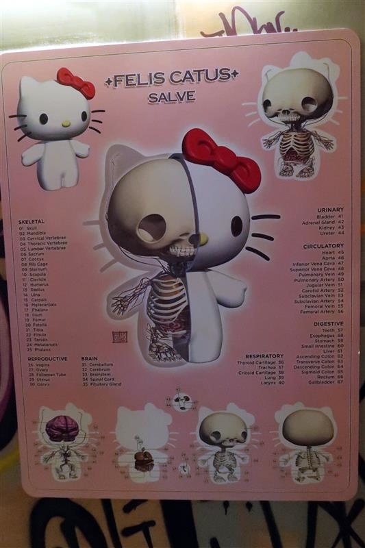 玩具解剖展 071.jpg 玩具解剖展 071.jpg