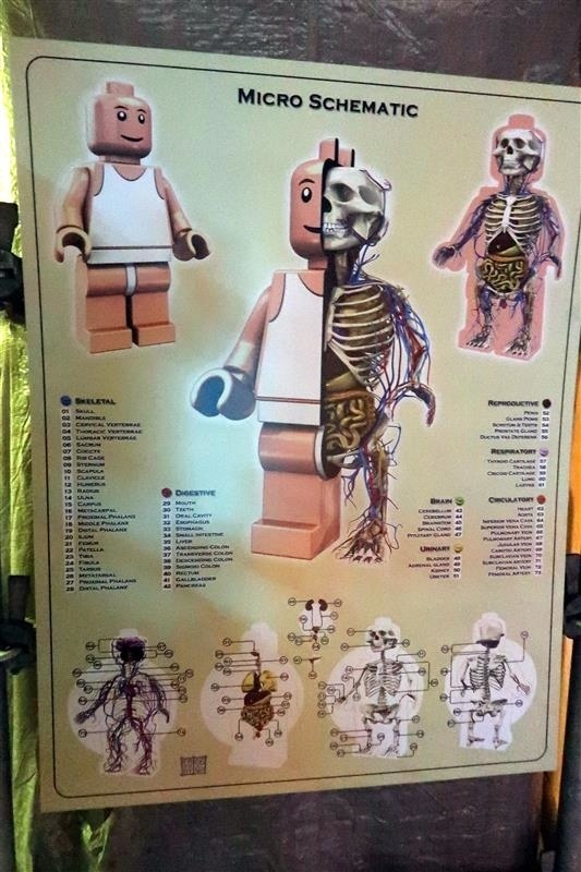 玩具解剖展 067.jpg 玩具解剖展 067.jpg