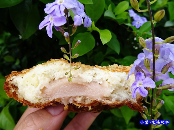 大甲芋頭多拿滋-北海道脆皮甜甜圈 (2).jpg