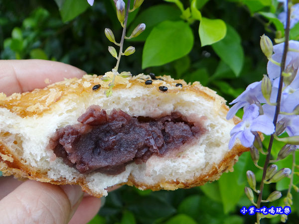 紅豆相思多拿滋-北海道脆皮甜甜圈 (1).jpg