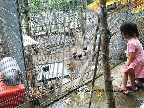 【苗栗美食】和風食堂 #私房料理 #客家料理 #苗栗公館 #落羽松 (3).JPG