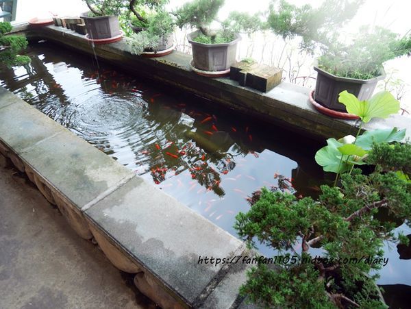 【苗栗美食】和風食堂 #私房料理 #客家料理 #苗栗公館 #落羽松 (4).JPG