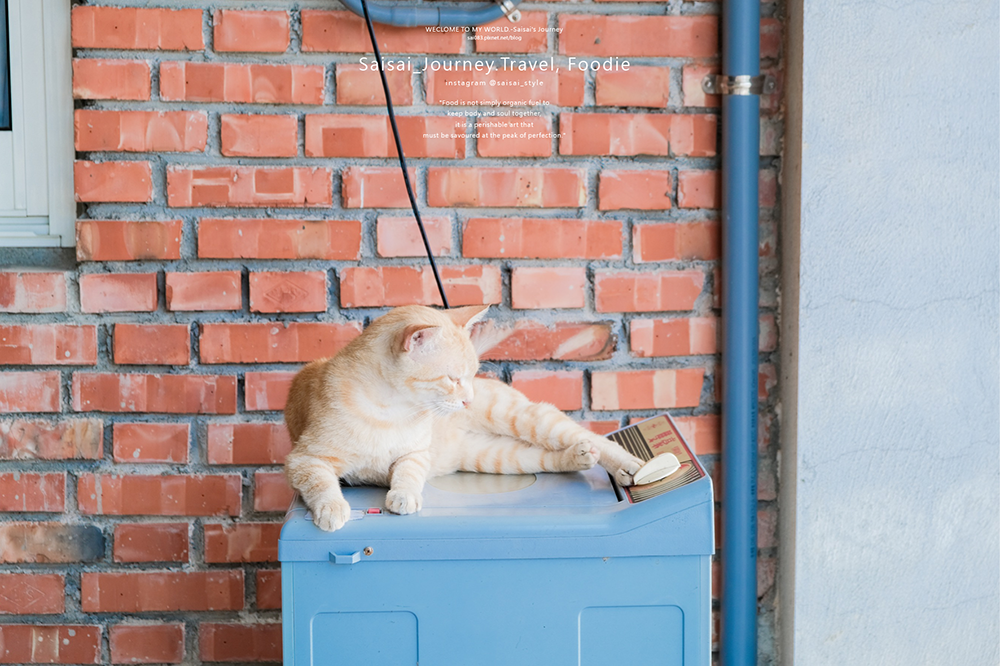苗栗公館美食 和風食堂 和風民宿 苗栗民宿推薦 苗栗住宿推薦 公館住宿 Saisais Journey19.png