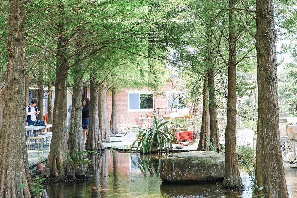 苗栗公館美食 和風食堂 和風民宿 苗栗民宿推薦 苗栗住宿推薦 公館住宿 Saisais Journey16.png